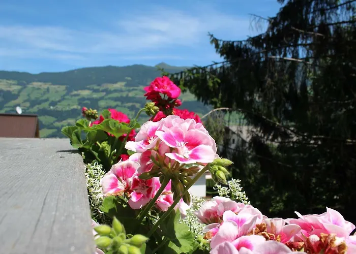 Hillside Apartments Pircher